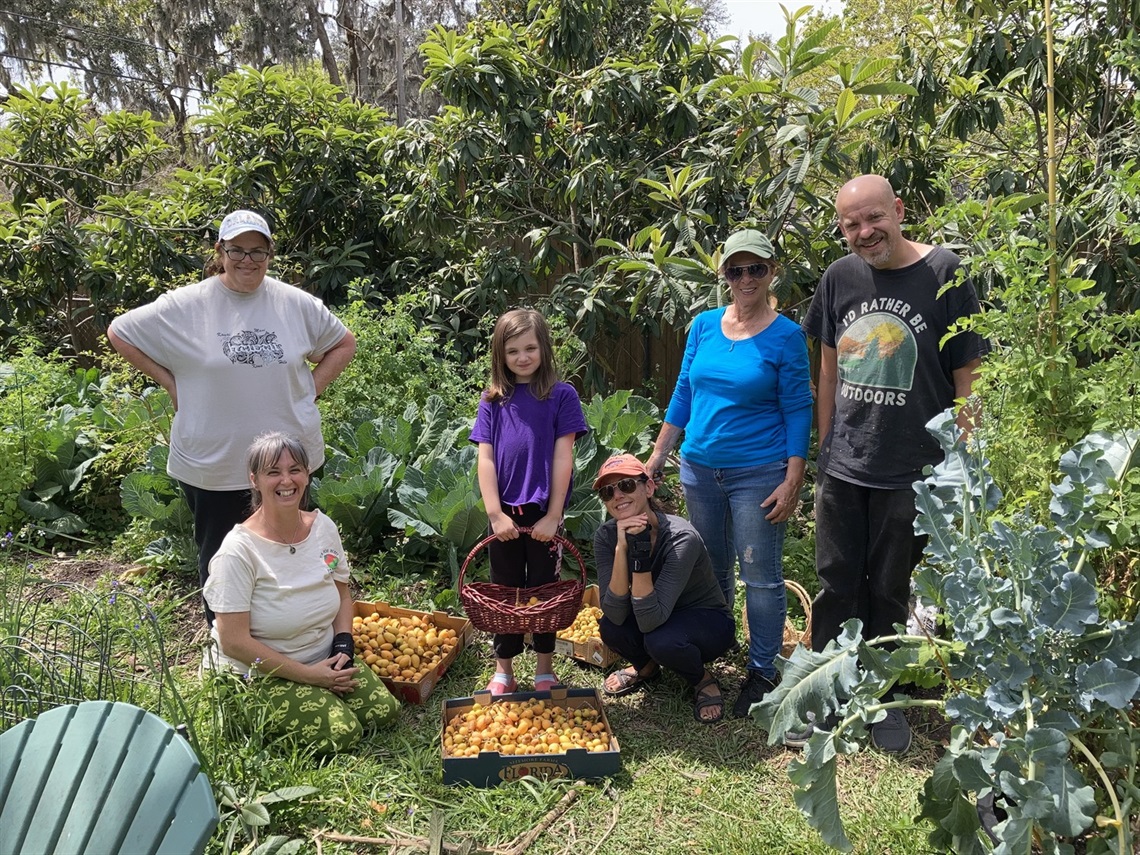 Loquat-Festival-Image.jpeg