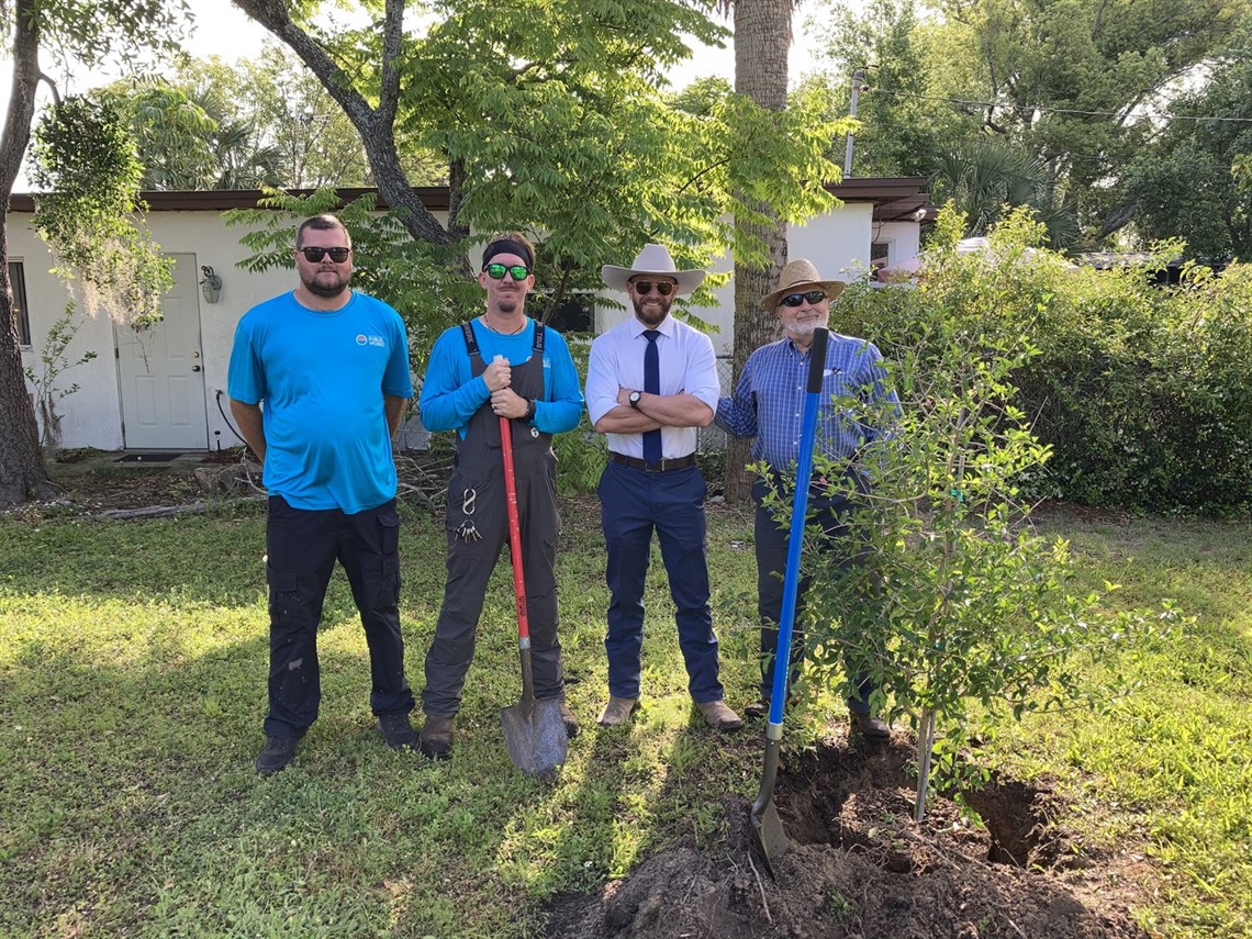 four gentlemen planting a tree