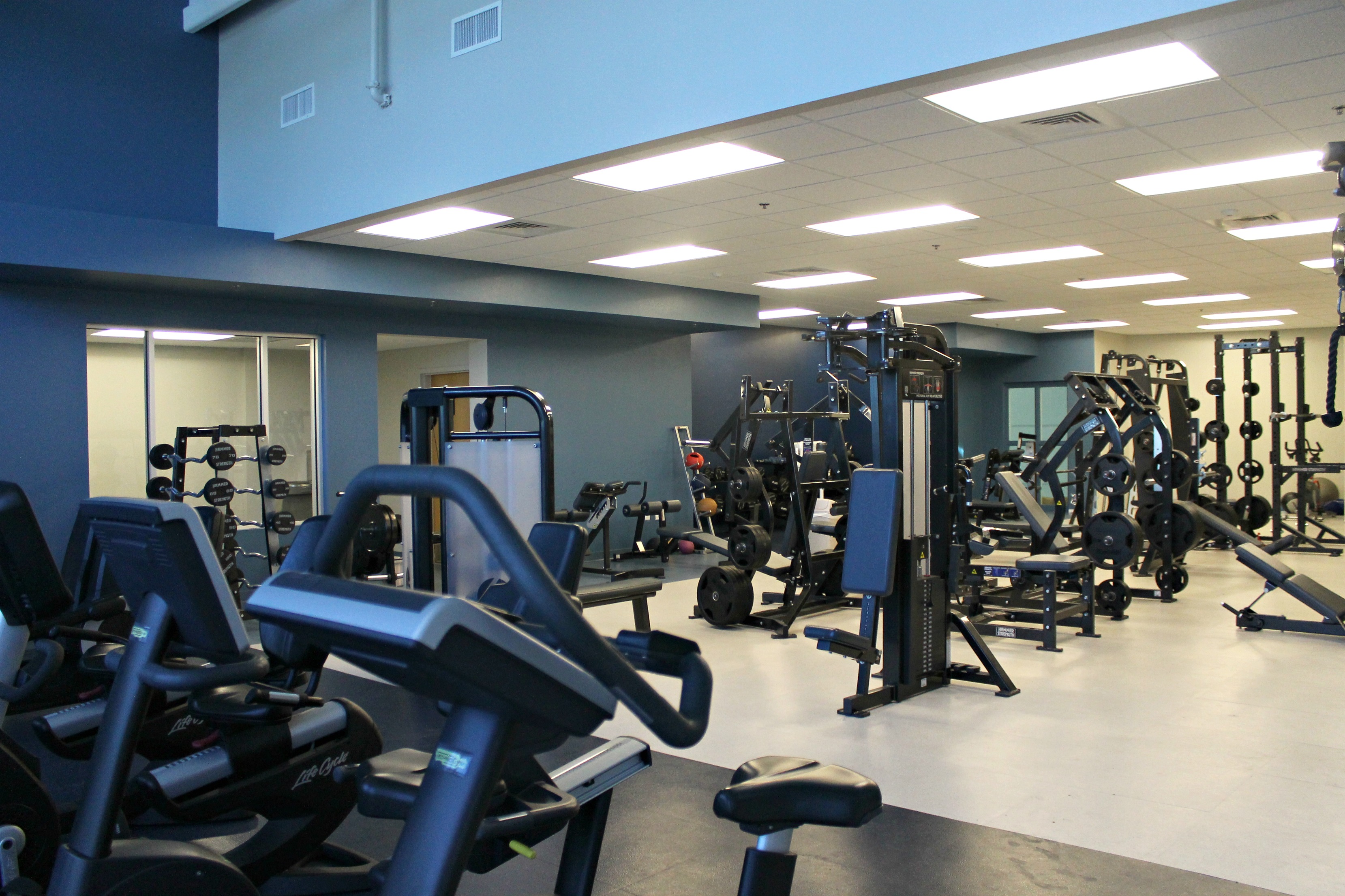 Interior of a gym with blue walls and rows of workout equipment and weights.