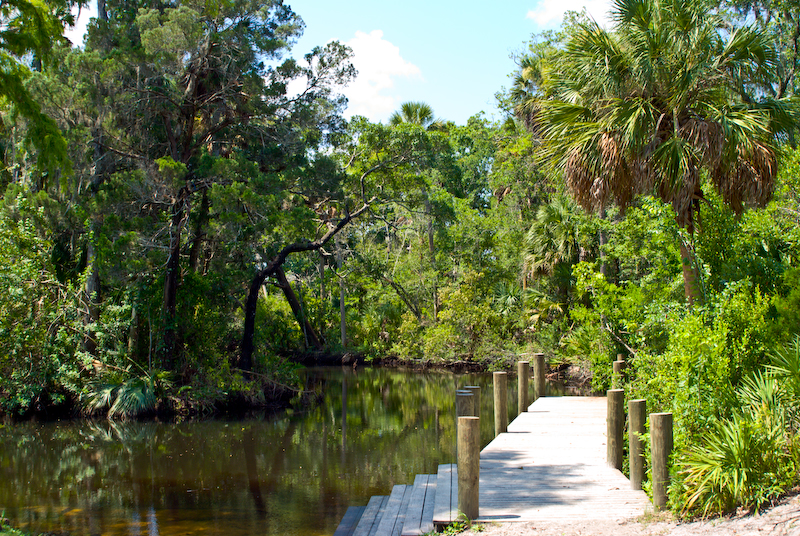 A boardwalk with steps leading down into the water. Trees line the water.